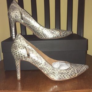 Ann Taylor Katlin cutout